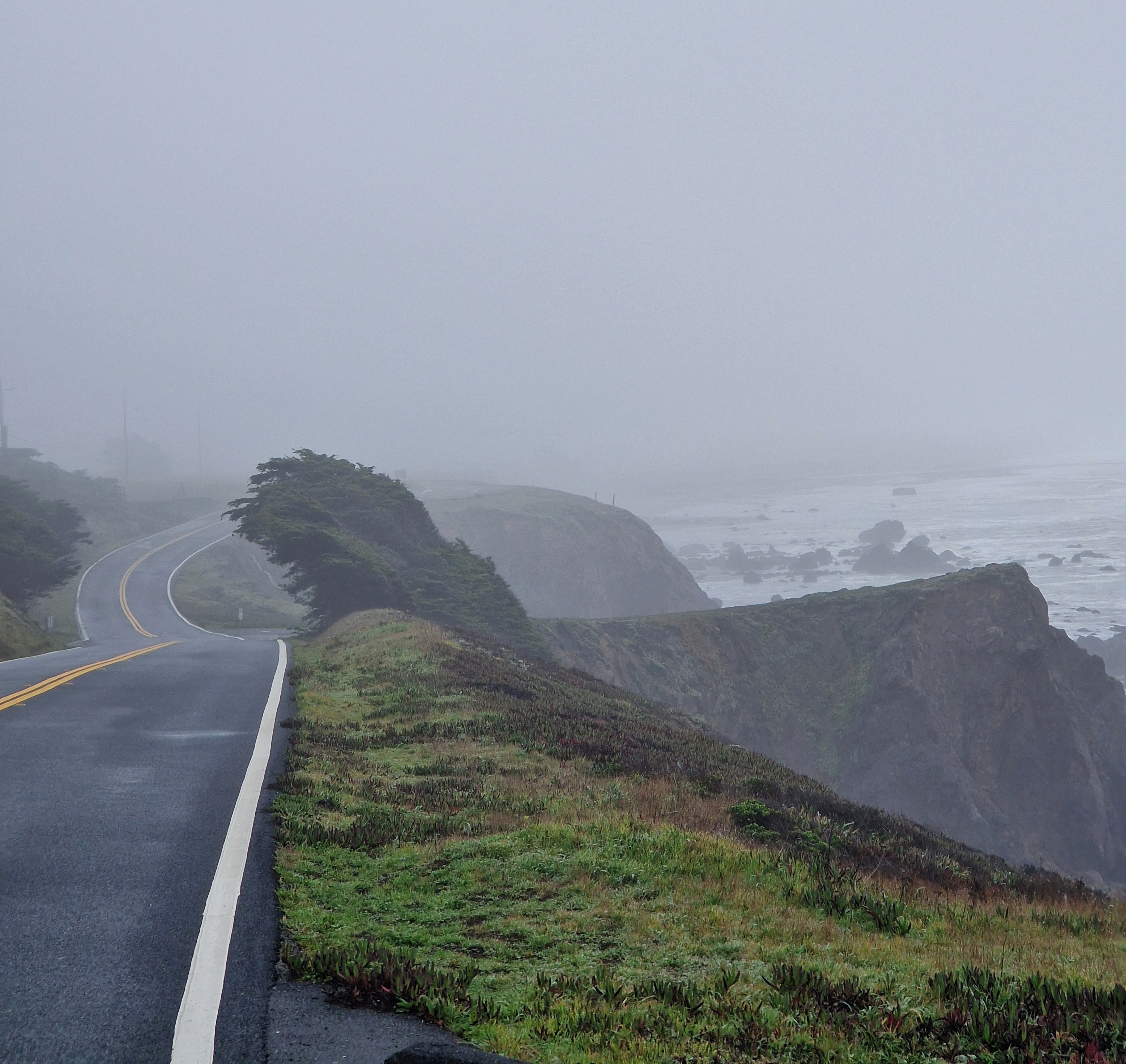 Highway 1 just past Bodega Bay